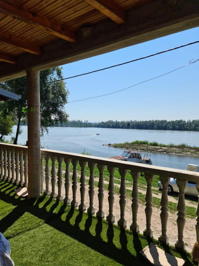 Celarevo River View - Danube מראה חיצוני תמונה